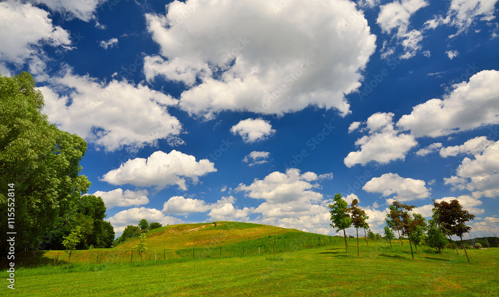 Beautiful landscape. Green meadow with blue sky.