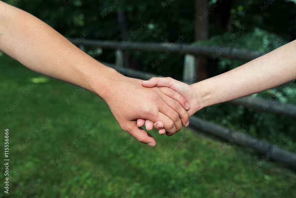 couple holding hands in the forest, outdoors, wide angle couple holding hands in the forest, outdoors, wide angle