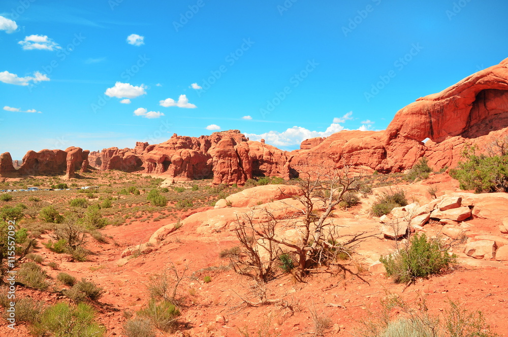Fototapeta premium Rocks in Arches National Park, Utah, USA