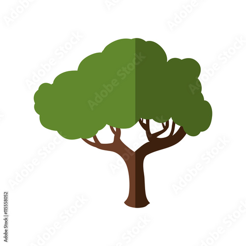 Nature concept represented by green tree icon. Isolated and flat illustration 