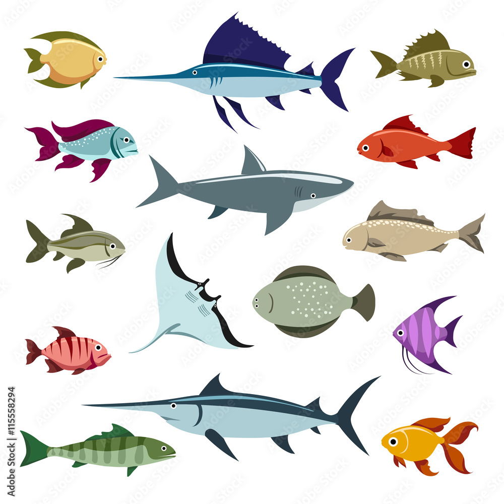Obraz premium Colored fish vector icons set on white background