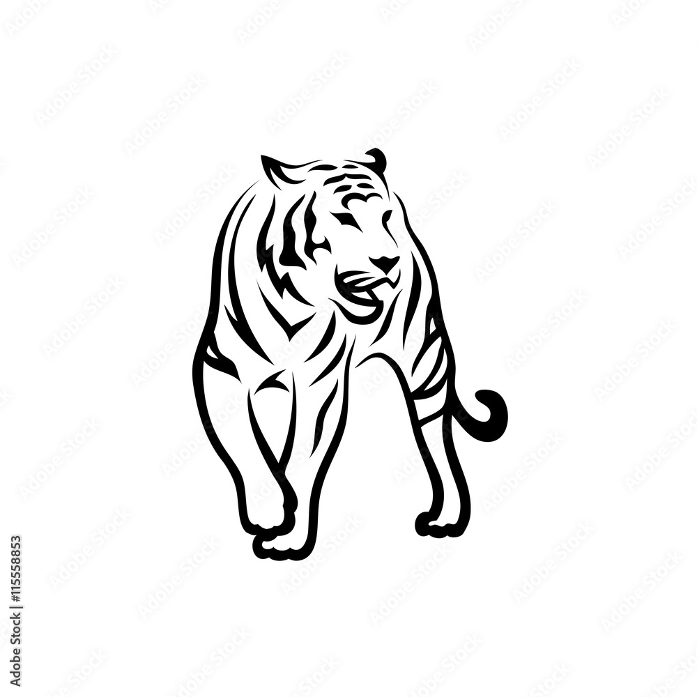 Fototapeta premium Tiger
