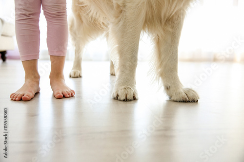 Fototapeta Naklejka Na Ścianę i Meble -  Child legs and dog paws on the floor