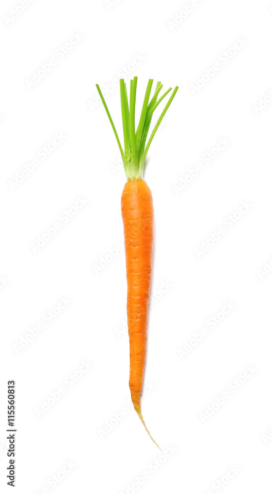 Carrot isolated on white Carrot isolated on white
