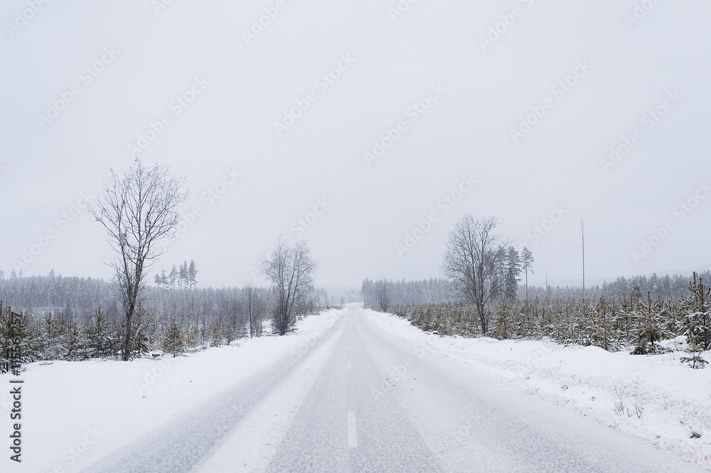 View of empty road in winter View of empty road in winter