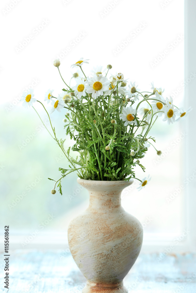 Chamomile bouquet on windowsill