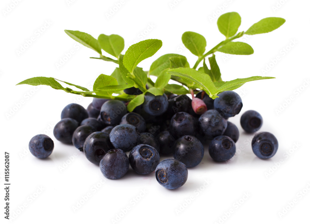 ripe fresh blueberry on a white background ripe fresh blueberry on a white background