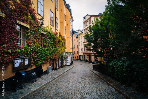 Fototapeta Naklejka Na Ścianę i Meble -  A narrow street in Galma Stan, Stockholm, Sweden.