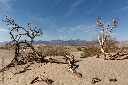 Dunas en Death Valley  California.