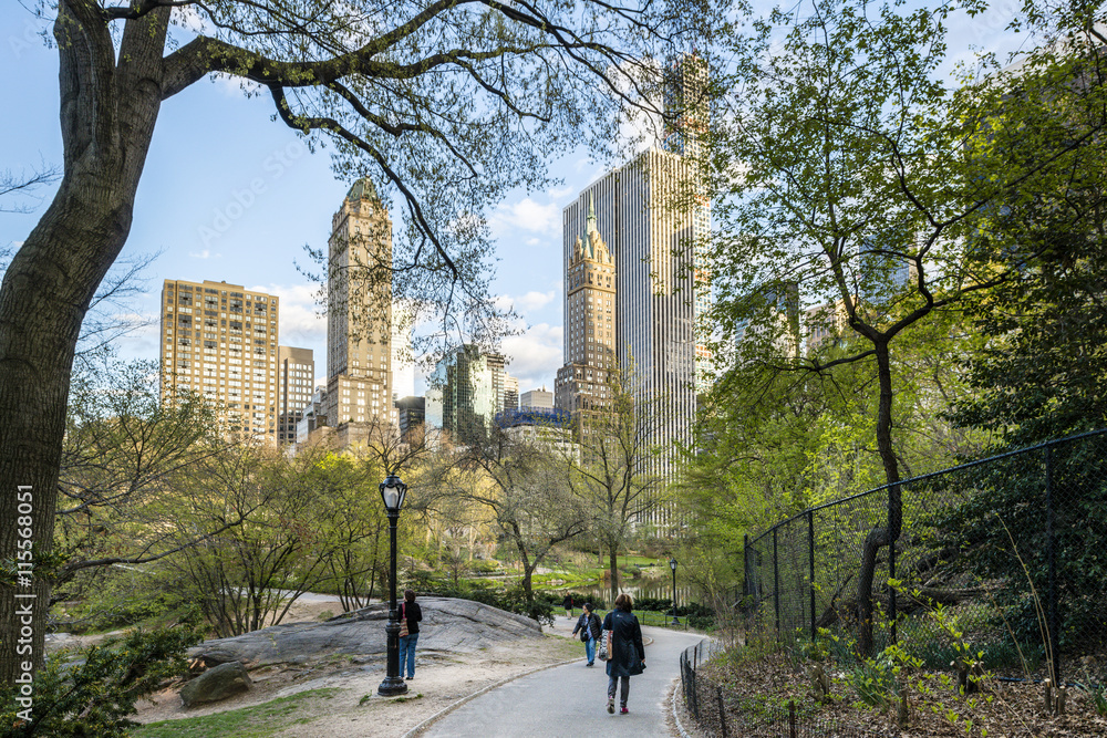 Trees in Central Park with skyscrapers in background Trees in Central Park with skyscrapers in background