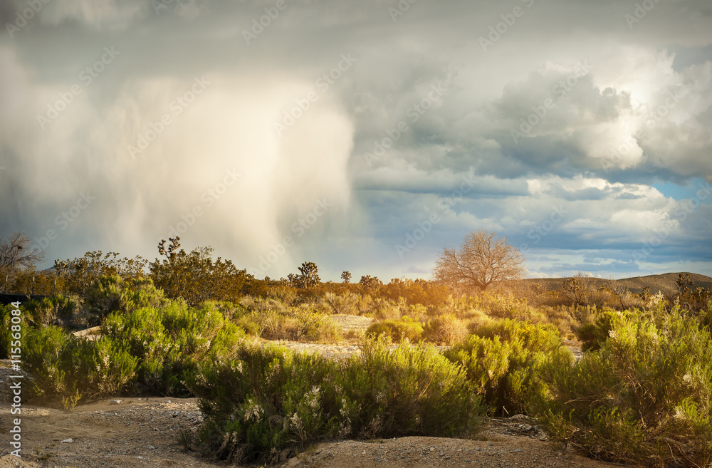 Dramatic Sky over the desert in sunset time< southern Nevada, USA Dramatic Sky over the desert in sunset time< southern Nevada, USA