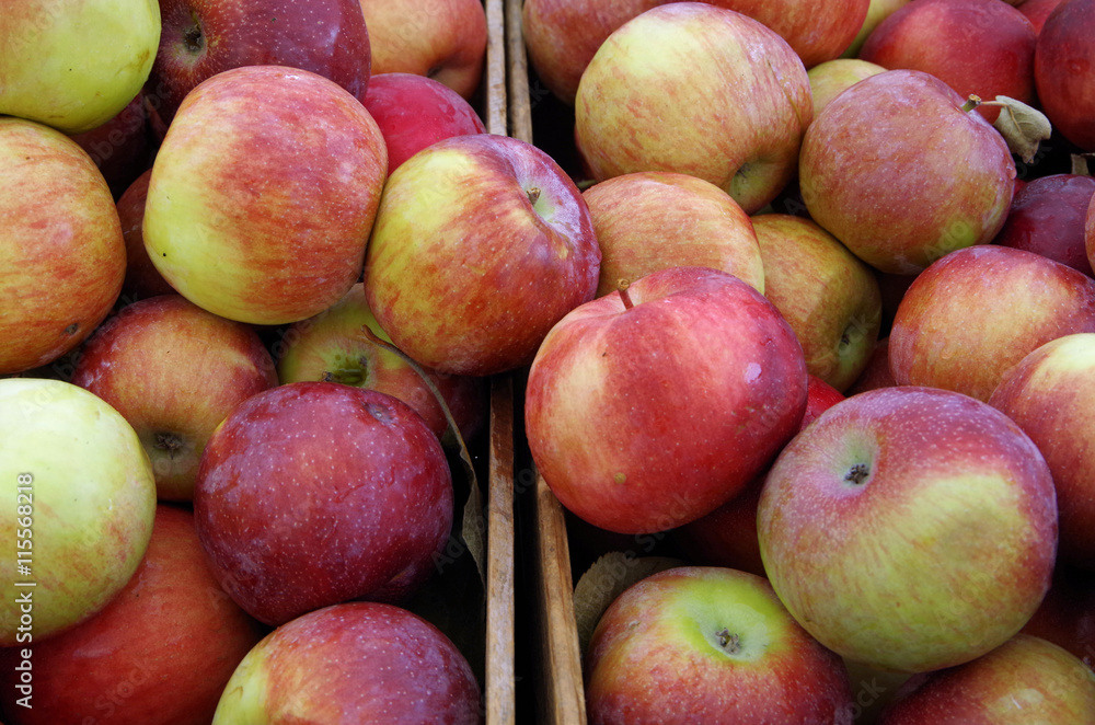 Crates of apples in the market detail Crates of apples in the market detail