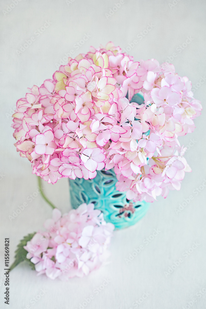 Beautiful pink hydrangea flowers in a blue ceramic vase on a light background. 