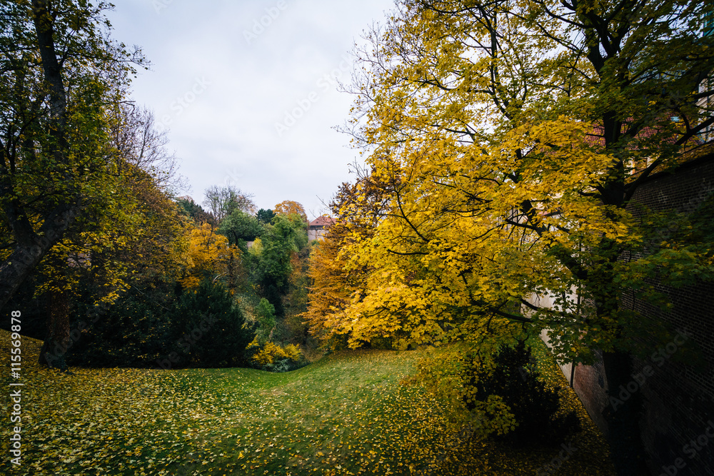 Autumn color and a hill in Malá Strana, Prague, Czech Republic. Autumn color and a hill in Malá Strana, Prague, Czech Republic.