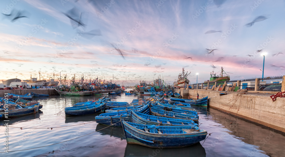Naklejka premium Maroko nabrzeże przy zmierzchem z ruch plamą seagulls lata nad błękitnymi łodziami