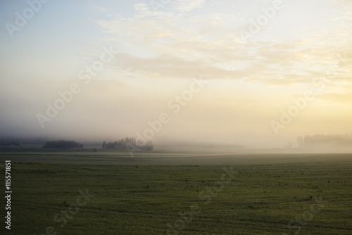 Wallpaper Mural Finland, Varsinais-Suomi, Fog above green field Torontodigital.ca