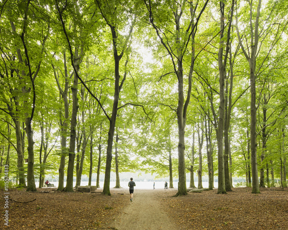 Sweden, Skane, Malmo, Pildammsparken, Man running in park Sweden, Skane, Malmo, Pildammsparken, Man running in park