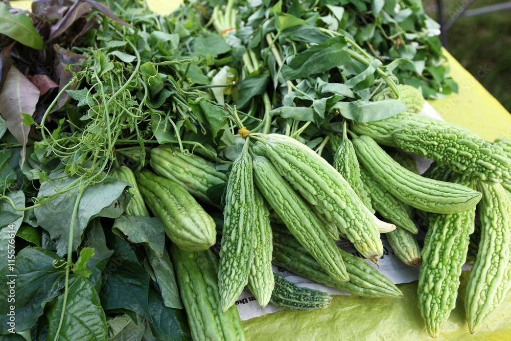 Obraz premium bitter melons