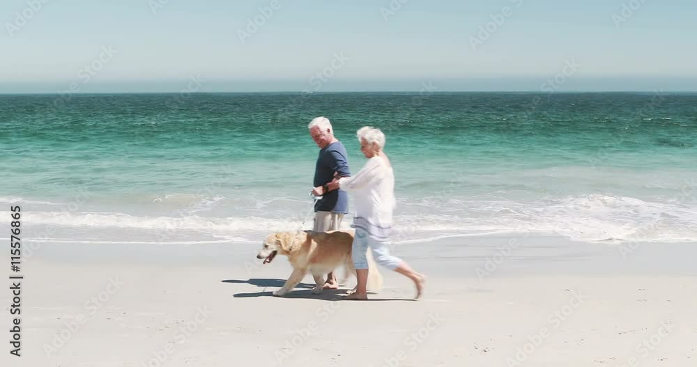 Old retired couple with dog on the beach