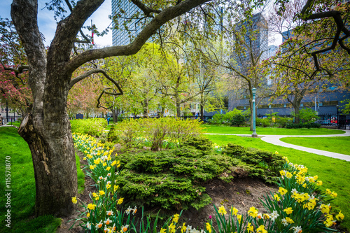 Photography Trees and gardens outside Osgoode Hall, in Toronto, Ontario.