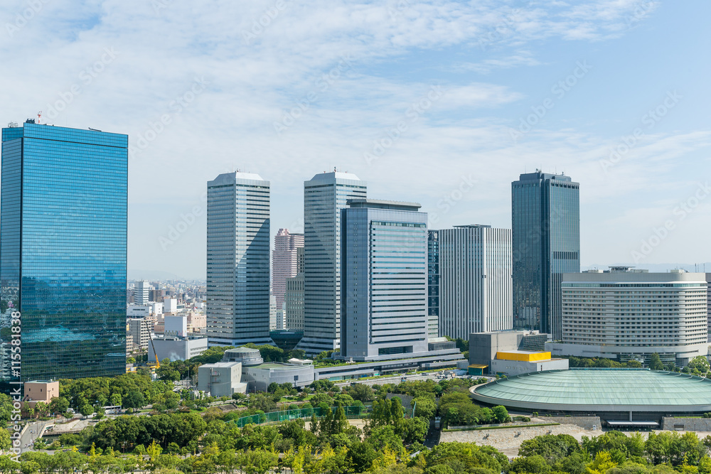 Fototapeta premium Osaka city
