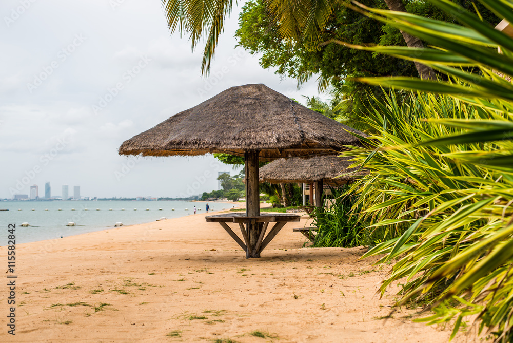 Thatched umbrellas on Beach,coconut tree plantation