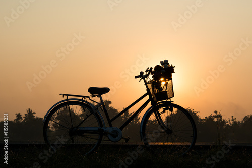 old Bicycle and flower on the sunrise