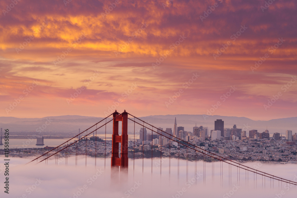 Early morning low fog at Golden Gate Bridge