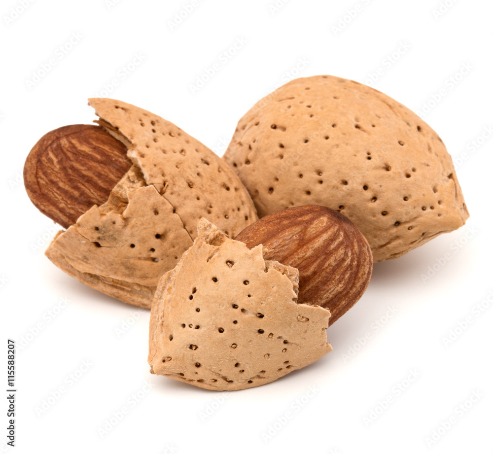 Almond nut in shell and shelled isolated on white background clo Almond nut in shell and shelled isolated on white background clo