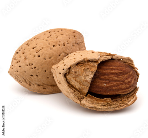Almond nut in shell and shelled isolated on white background clo