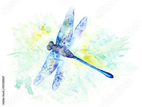 Bright Watercolor Illustration of Colorfull Dragonfly. Hand Drawn Image of Insect Isolated on White Background. © hanast