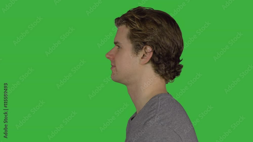 Profile of an expressionless man (Green Key) Profile of an expressionless man (Green Key)