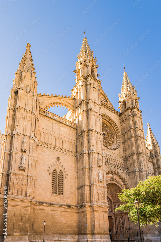 Mallorca Kathedrale Palma Spanien