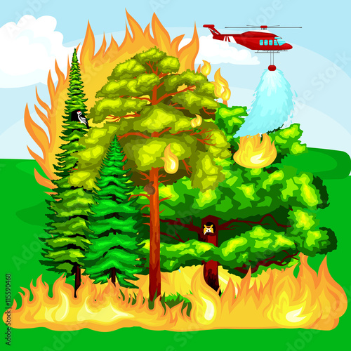 Forest Fire, fire in forest landscape damage, nature ecology disaster, hot burning trees, danger forest fire flame with smoke, blaze wood background vector illustration.Burning tree red and orange