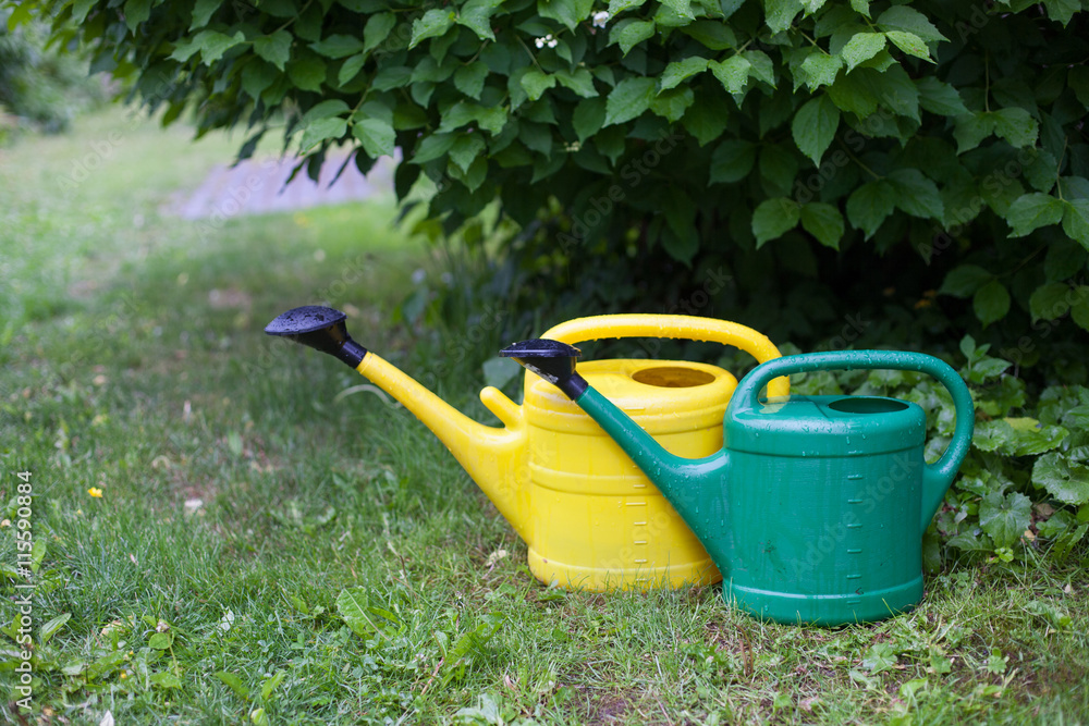Yellow and green watering cans in the garden Yellow and green watering cans in the garden