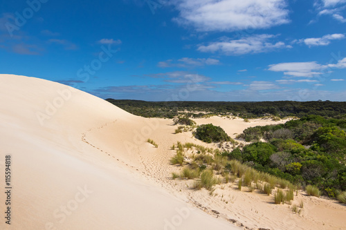 High sand hill ridge and drought tolerant plants with blue sky at Little Sahara white sand dune system on Kangaroo Island, South Australia