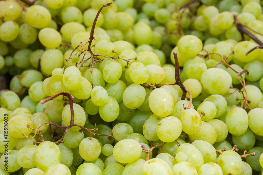 Ripe delicious grapes in the market on the counter Ripe delicious grapes in the market on the counter