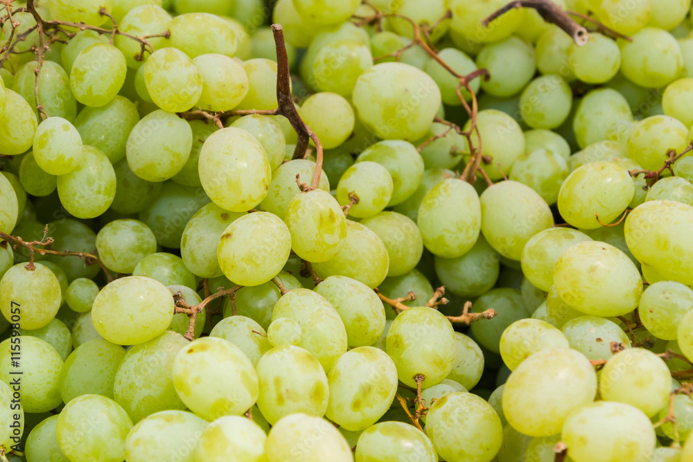 Ripe delicious grapes in the market on the counter Ripe delicious grapes in the market on the counter