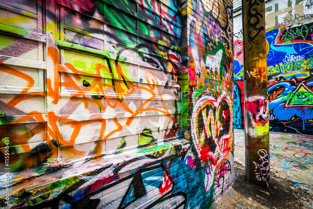 Graffiti Alley, in the Station North District of Baltimore, Mary
