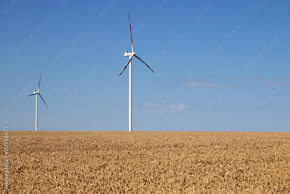 wind turbines on wheat field summer season wind turbines on wheat field summer season