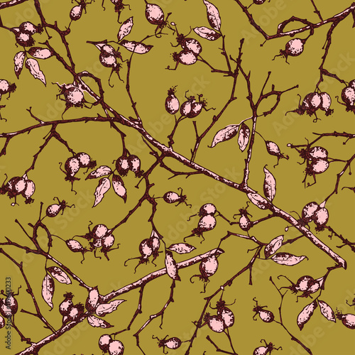 Seamless Pattern Vector illustration of hand drawn Rose Hips, leaves and branches. Can be used for greetings card, invitation, wall, poster or other background, packaging etc. eps 10