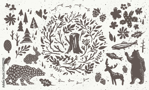 Handsketched elements of northern forest