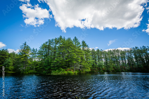 Lake at Bear Brook State Park, New Hampshire. photo