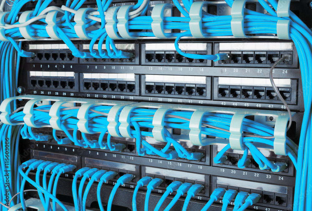 Close up of blue network internet cables connected to router