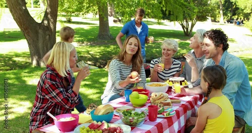 Family having picnic in the park