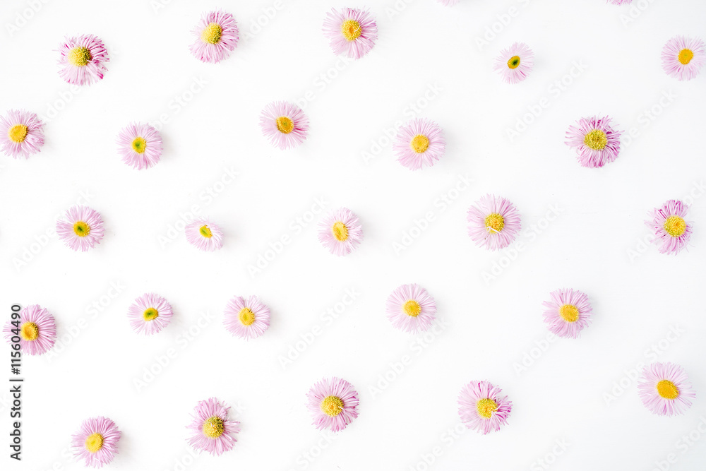 chamomile pattern on white background. flat lay, top view chamomile pattern on white background. flat lay, top view