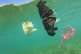 Plastic pollution in sea