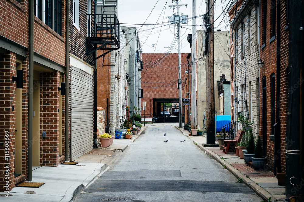 Narrow alley in Fells Point, Baltimore, Maryland.