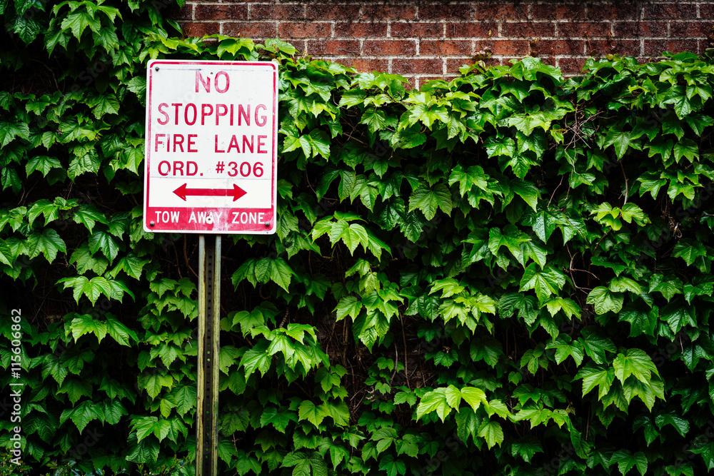 No Stopping sign in Fells Point, Baltimore, Maryland.