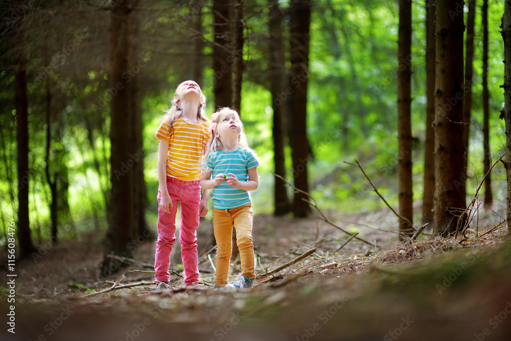 Two adorable little sisters hiking in a forest on summer
